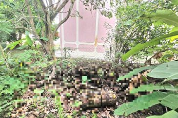 TAMAN TEMERLOH MAKMUR