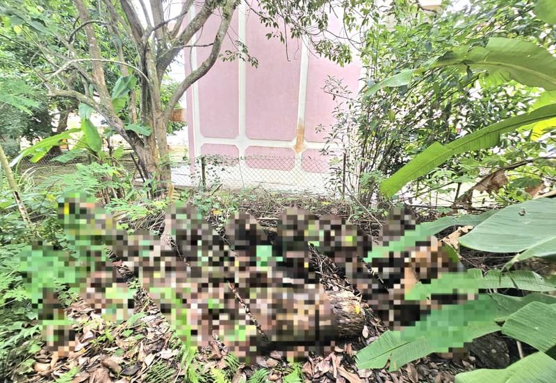 TAMAN TEMERLOH MAKMUR