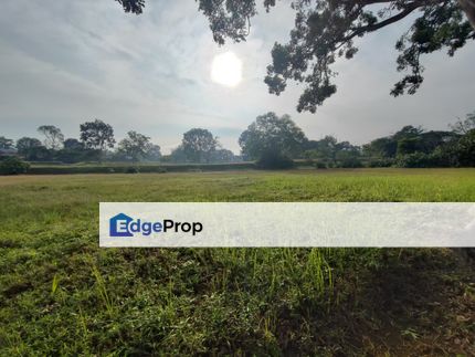 Leisure Farm Bungalow Land Polo View , Johor, Gelang Patah