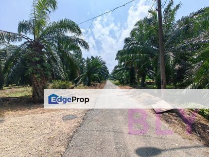 2.146 Acres Agricultural Land Kelanang Banting Kuala Langat For Sell, Selangor, Banting