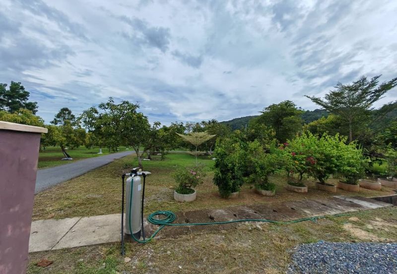 RUMAH BANGLO MEWAH DAN TANAH HAMPIR 1 RELUNG DI KURONG BATANG UNTUK DIJUAL 