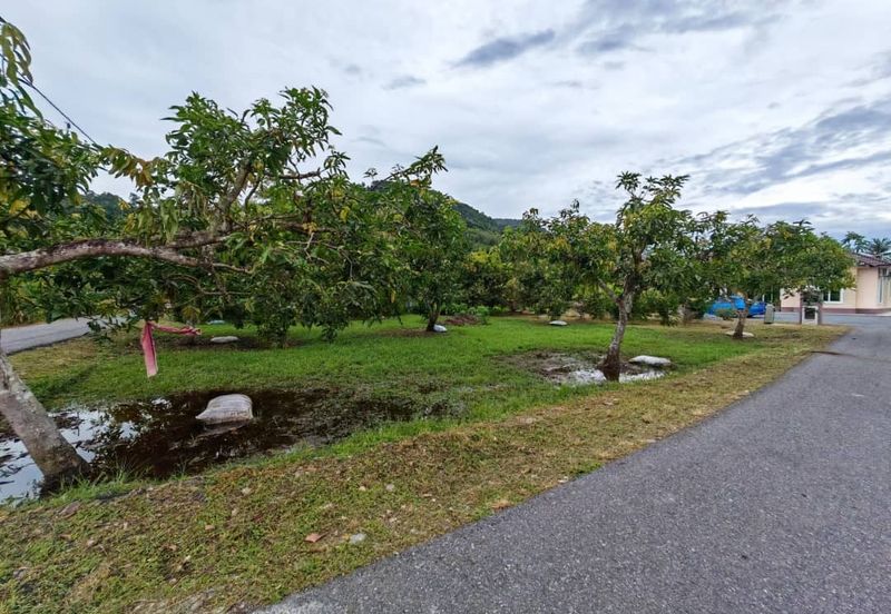 RUMAH BANGLO MEWAH DAN TANAH HAMPIR 1 RELUNG DI KURONG BATANG UNTUK DIJUAL 