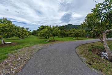 RUMAH BANGLO MEWAH DAN TANAH HAMPIR 1 RELUNG DI KURONG BATANG UNTUK DIJUAL 