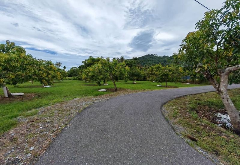 RUMAH BANGLO MEWAH DAN TANAH HAMPIR 1 RELUNG DI KURONG BATANG UNTUK DIJUAL 