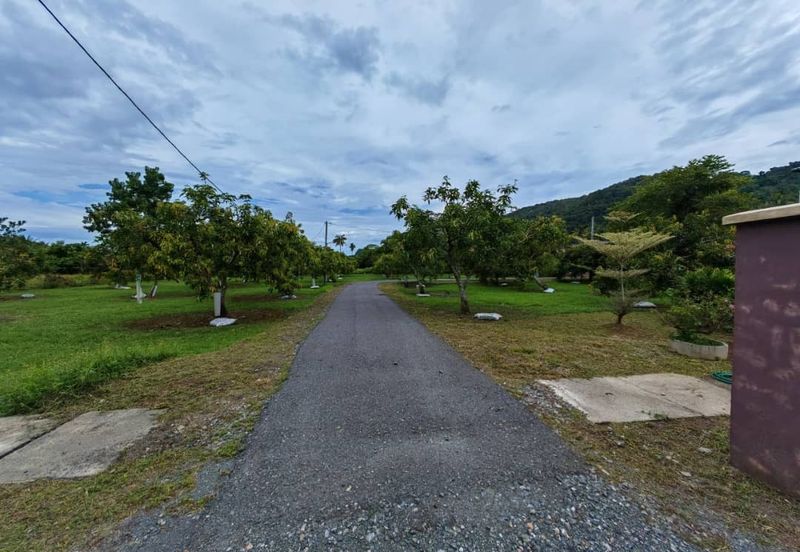 RUMAH BANGLO MEWAH DAN TANAH HAMPIR 1 RELUNG DI KURONG BATANG UNTUK DIJUAL 