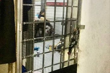 Pangsapuri Seri Meranti