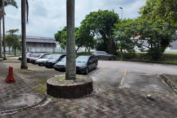 Bukit Jelutong