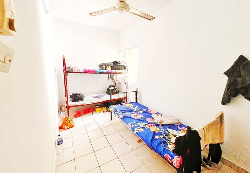 Palm Garden Apartment