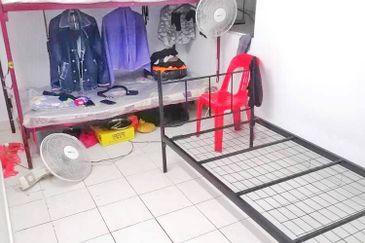 Palm Garden Apartment