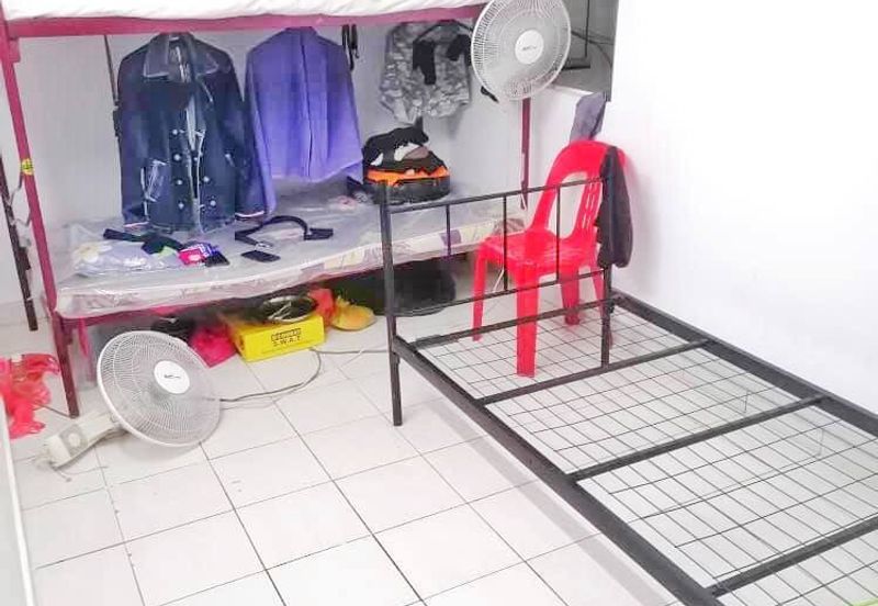 Palm Garden Apartment