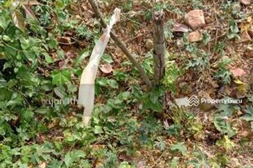 Lot Tanah Banglo Kampung Pandan 2