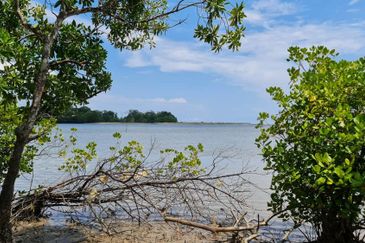 Lot Tanah Pertanian Kg Hijrah Penor Pulau Dar