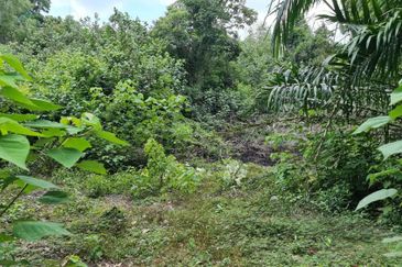 Lot Tanah Pertanian Kg Hijrah Penor Pulau Dar