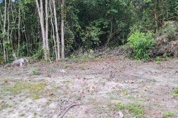 Lot Tanah Pertanian Kg Hijrah Penor Pulau Dar