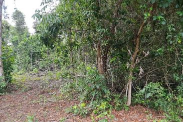 Lot Tanah Pertanian Kg Hijrah Penor Pulau Dar