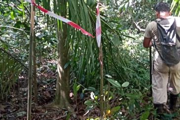 Lot Tanah Pertanian Kampung Atong Sungai Lembing