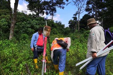 Lot Tanah Mukim Beserah Kuantan (Untuk Dijual)