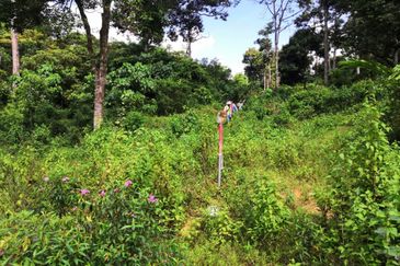 Lot Tanah Mukim Beserah Kuantan (Untuk Dijual)