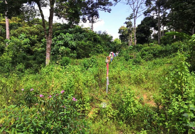 Lot Tanah Mukim Beserah Kuantan (Untuk Dijual)