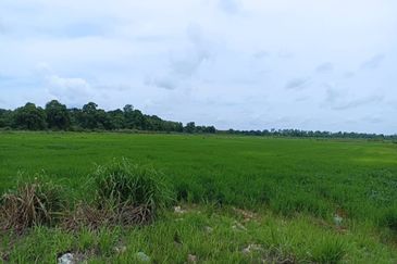 Lot Tanah Kampung Langgar Pekan (Untuk Dijual)