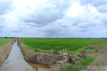 Lot Tanah Kampung Langgar Pekan (Untuk Dijual)