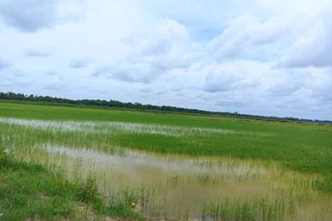 Lot Tanah Kampung Langgar Pekan (Untuk Dijual)