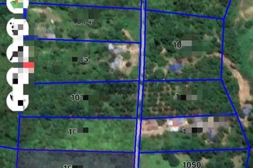 Lot Tanah Kampung Megat Seberang Tayur Kemaman (Untuk Dijual)