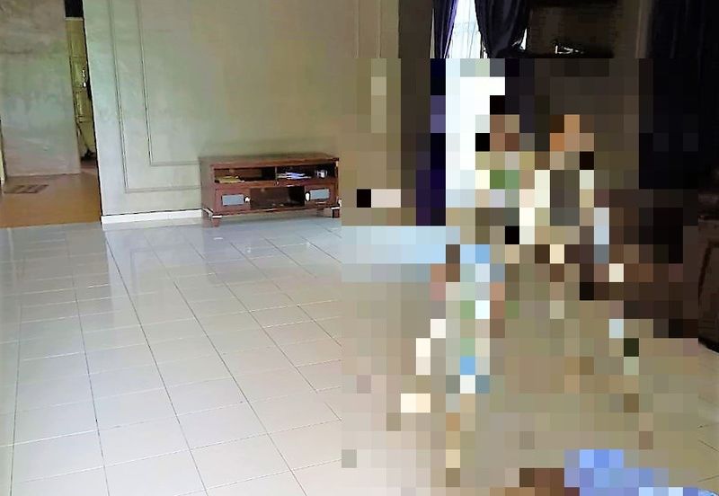 Semi D Taman Alor Ara Dahlia Pekan (Untuk DIjual)