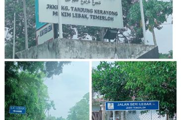 Teres 1 Tingkat Taman Seri Lebak Temerloh (Untuk Dijual)