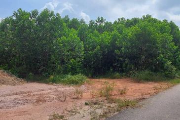 Lot Tanah Bangunan Sungai Gau Temerloh (Untuk Dijual)