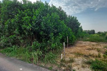 Lot Tanah Bangunan Sungai Gau Temerloh (Untuk Dijual)