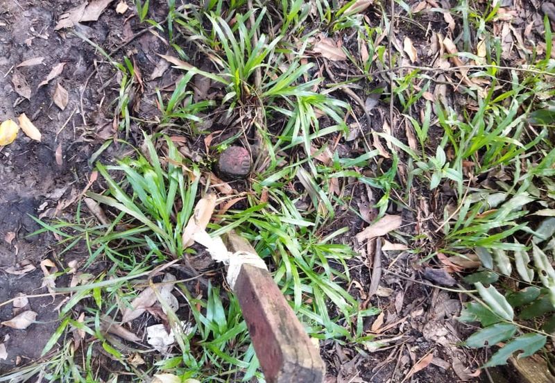 2.8 Ekar Tanah Pantai Sepat Kuantan Freehold Untuk Dijual