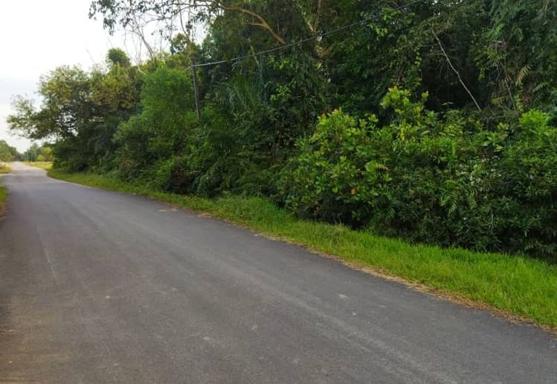2.8 Ekar Tanah Pantai Sepat Kuantan Freehold Untuk Dijual