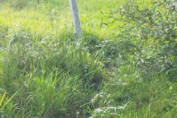 2.8 Ekar Tanah Pantai Sepat Kuantan Freehold Untuk Dijual