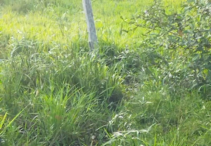 2.8 Ekar Tanah Pantai Sepat Kuantan Freehold Untuk Dijual