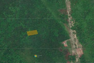 Lo Tanah Pertanian Permatang Pasir Pekan (Untuk Dijual)