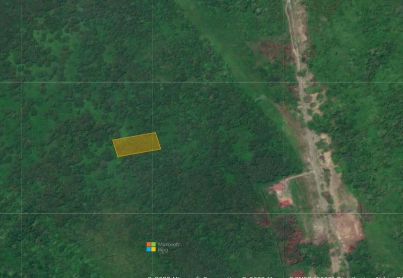 Lo Tanah Pertanian Permatang Pasir Pekan (Untuk Dijual)