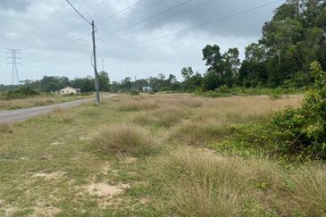 Lo Tanah Pertanian Permatang Pasir Pekan (Untuk Dijual)