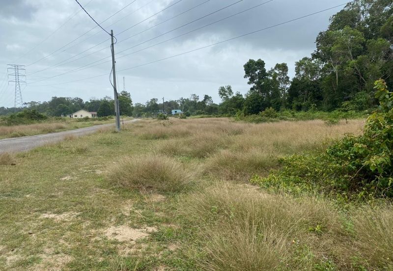 Lo Tanah Pertanian Permatang Pasir Pekan (Untuk Dijual)