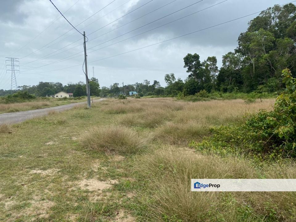 Lo Tanah Pertanian Permatang Pasir Pekan (Untuk Dijual), Pahang, Kuantan
