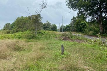 Lo Tanah Pertanian Permatang Pasir Pekan (Untuk Dijual)