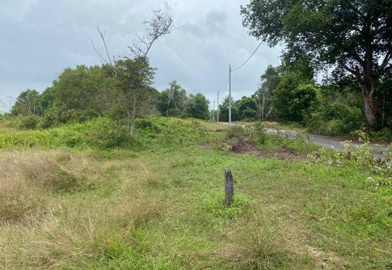 Lo Tanah Pertanian Permatang Pasir Pekan (Untuk Dijual)