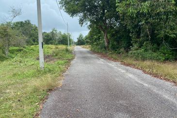 Lo Tanah Pertanian Permatang Pasir Pekan (Untuk Dijual)