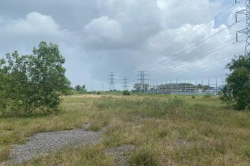 Lo Tanah Pertanian Permatang Pasir Pekan (Untuk Dijual)