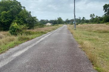 Lo Tanah Pertanian Permatang Pasir Pekan (Untuk Dijual)