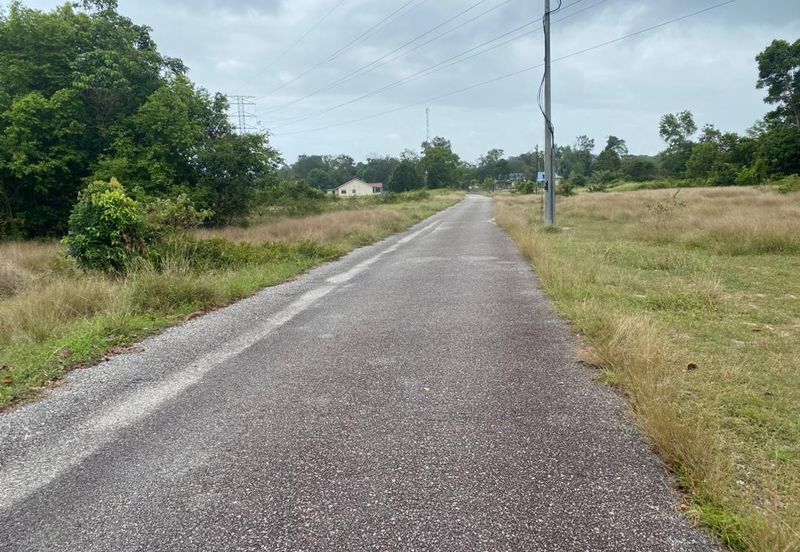 Lo Tanah Pertanian Permatang Pasir Pekan (Untuk Dijual)