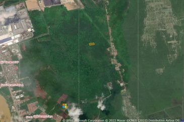 Lo Tanah Pertanian Permatang Pasir Pekan (Untuk Dijual)