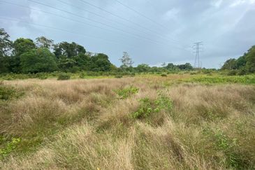 Lo Tanah Pertanian Permatang Pasir Pekan (Untuk Dijual)