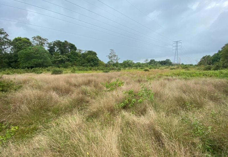 Lo Tanah Pertanian Permatang Pasir Pekan (Untuk Dijual)