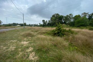 Lo Tanah Pertanian Permatang Pasir Pekan (Untuk Dijual)